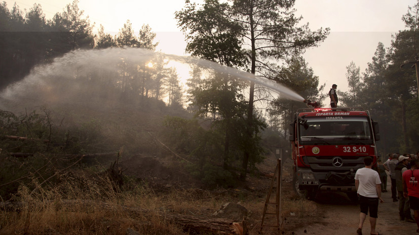 Минюст Турции начал процесс пересмотра наказаний за поджоги лесов