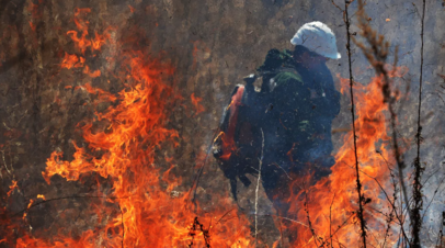 В  МЧС предупредили о повышенной пожароопасности лесов в Нижегородской области