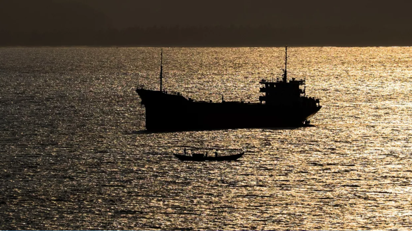 РИА Новости: в Турции задержали российское судно с якобы украинским зерном