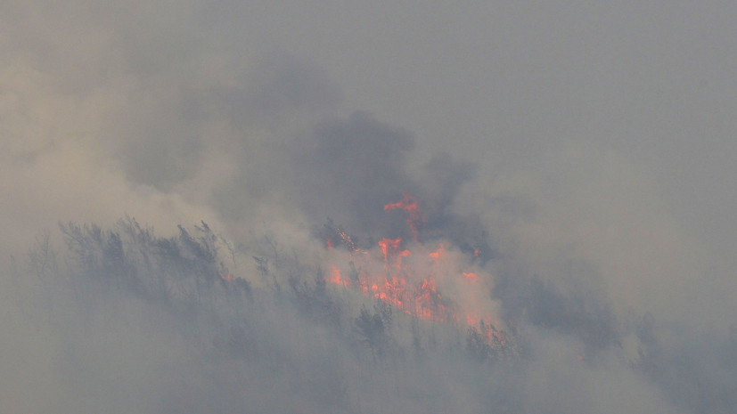 Лесной пожар начался в турецкой курортной Анталье