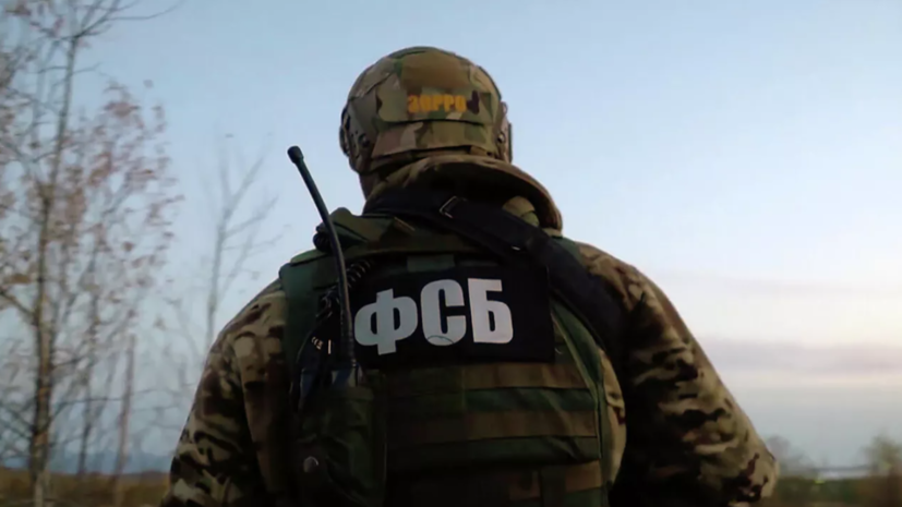 ФСБ задержала в Волгограде сторонника националистической идеологии с оружием и взрывчаткой