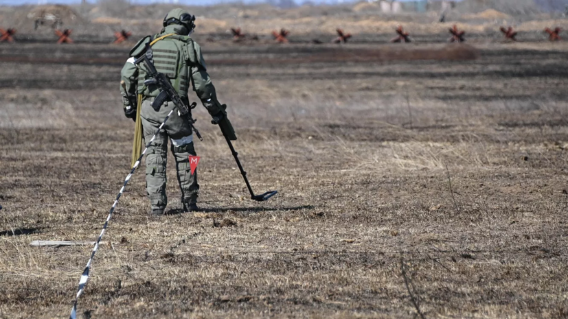 Мэр Донецка предупредил жителей, что ВСУ дистанционно минируют город «Лепестками»