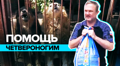 Достойный уход: донецкий приют спасает брошенных животных