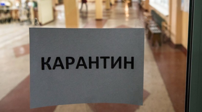 В одной из деревень Тюменской области ввели карантин по бешенству