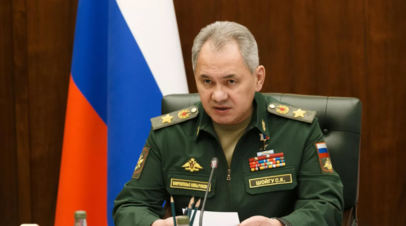 Министр обороны Шойгу проинспектировал российские группировки войск Юг и Центр
