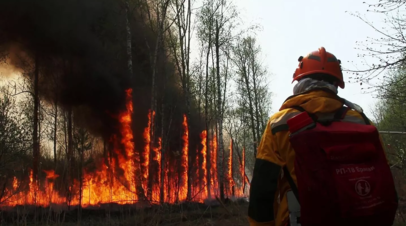 В Рослесхозе рассказали о мерах по предотвращению природных пожаров в стране