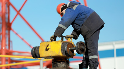 Политолог Шаповалов оценил слова Нехаммера о невозможности эмбарго на газ из России