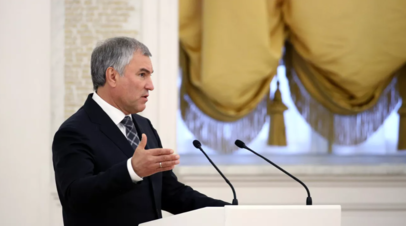 Володин заявил, что Зеленский и США ликвидировали в Еленовке свидетелей своих преступлений
