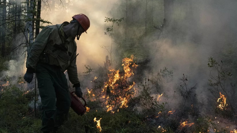 Семь лесных пожаров потушили в ЯНАО в течение суток