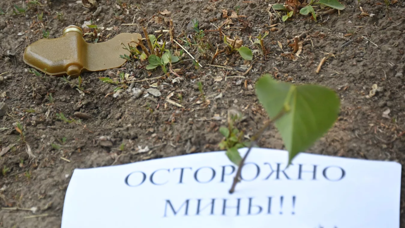 ВСУ сбросили противопехотные мины «Лепесток» на три района Донецка