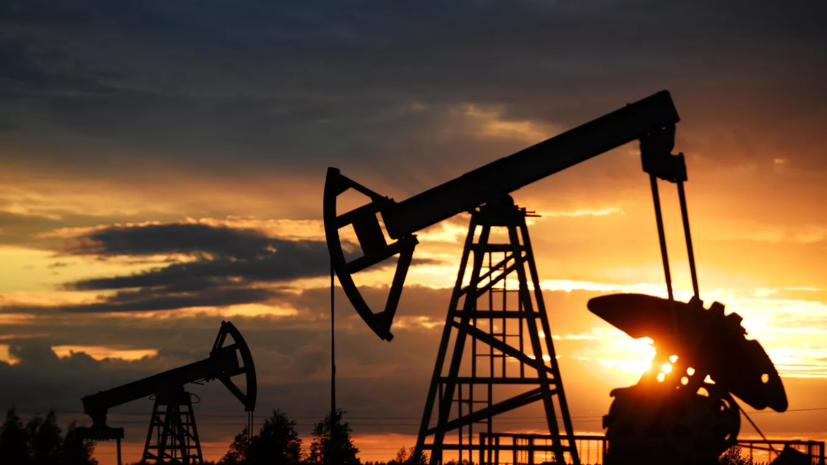 Нефтегазовая компания MOL подтвердила приостановку транзита нефти по «Дружбе» в Венгрию