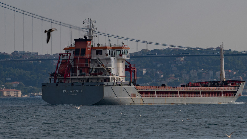 В Турции заявили, что судно с зерном не смогло выйти из Черноморска из-за непогоды