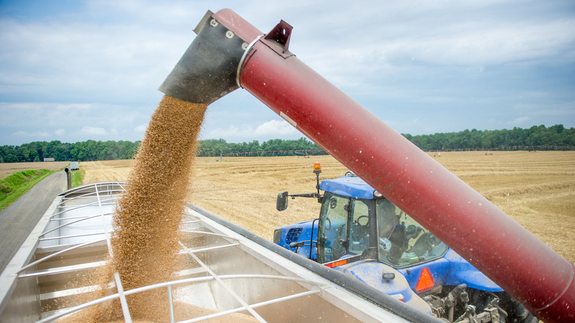 Минсельхоз: Россия собрала 78 млн тонн зерна