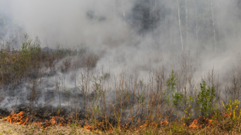 В Кировской области предупредили о высокой пожароопасности с 14 по 17 августа
