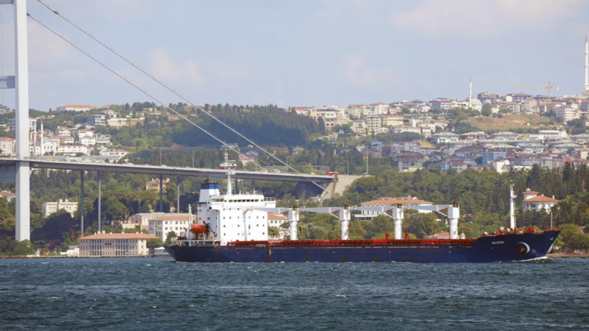Минобороны Турции: пять судов с продовольствием вышли из портов Украины