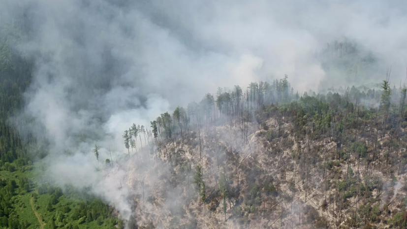 Власти ЯНАО заявили о ликвидации всех крупных лесных пожаров
