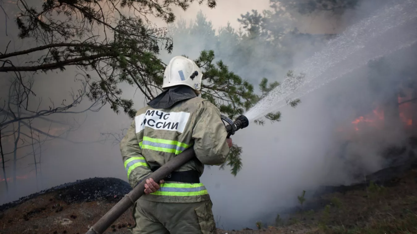Рослесхоз объяснил задымления на юге Москвы пожаром в Рязанской области