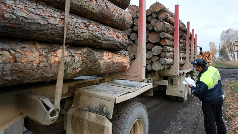 Болгария запретит экспорт древесины из-за дефицита дров