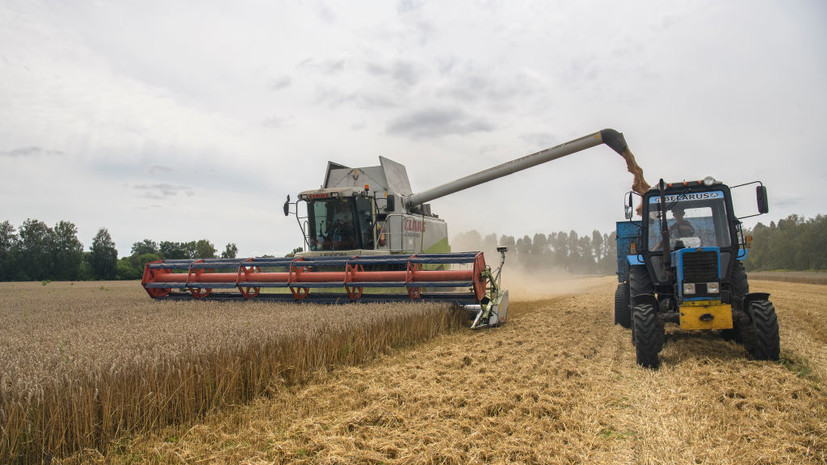США закупят на Украине 150 тысяч тонн зерна для гуманитарной помощи Африке