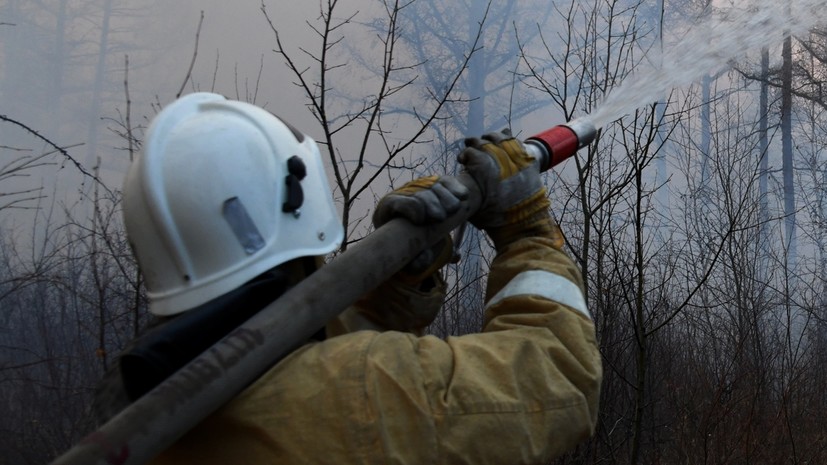 Глава МЧС России вылетел в Рязанскую область для координации тушения лесных пожаров