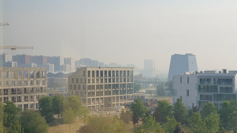 «Скрывали реальные площади возгорания»: прокуратура проводит проверку в связи с лесными пожарами в Рязанской области