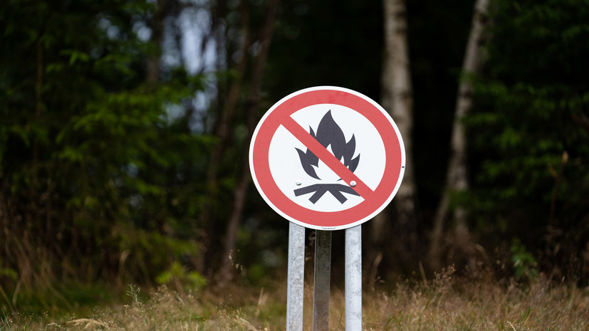 Губернаторам российских регионов ЦФО и ПФО рекомендовали ввести запрет на посещение лесов