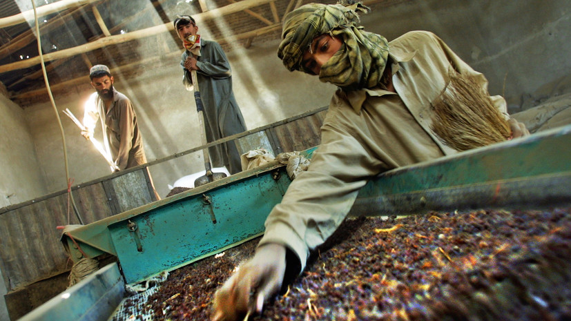 Минпромторг: Кабул в обмен на нефтепродукты может предложить полезные ископаемые и изюм