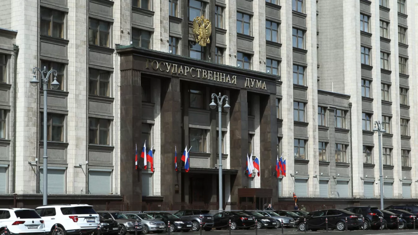 В ГД предложили лишать гражданства за осуждение российских властей ради визы