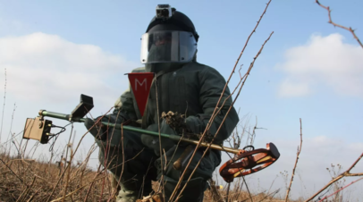 Сотрудники МЧС за полгода обезвредили в России более 23 тысяч боеприпасов времён войны