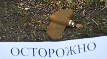 В ДНР сообщили о 29 случаях подрыва мирных жителей на минах Лепесток