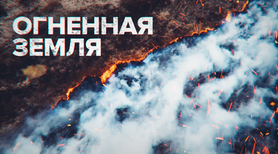 В Аргентине из-за крупного пожара выгорают травяные луга видео