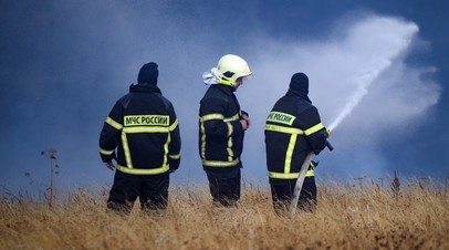 ТАСС:  МЧС возбудило уголовное дело по факту лесных пожаров в Рязанской области