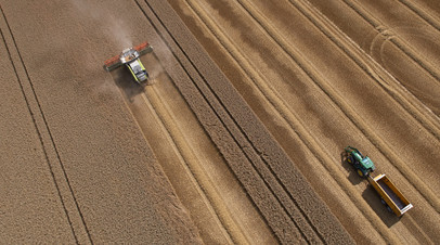 В  Волгоградской области собрали 6 млн тонн зерна