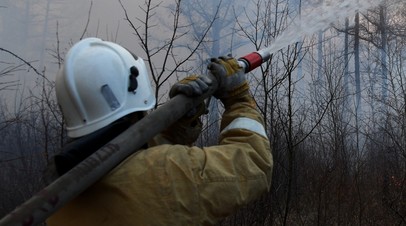 К тушению пожаров в Рязанской области привлечены группировки сил из пяти соседних регионов