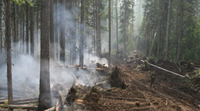 Пожар в Рязанской области тушат круглые сутки