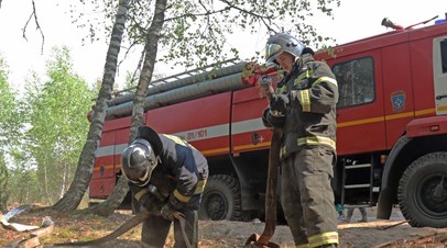 Шесть населённых пунктов вошло в зону угрозы от лесного пожара в Рязанской области
