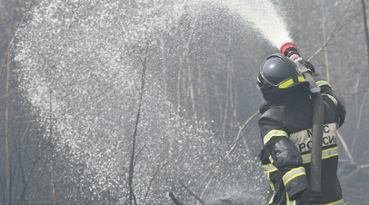 МЧС сообщило о локализации двух из шести очагов пожаров в Рязанской области