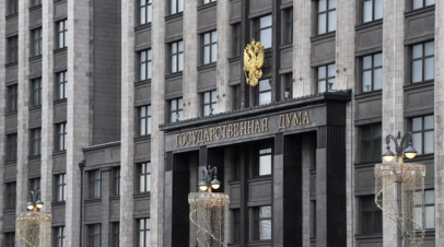 В Госдуме предложили конкретизировать правила перевозки животных в автомобиле