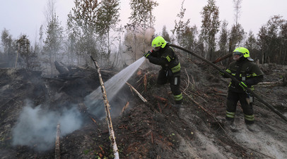 Серьёзно продвинулись в тушении: как идёт борьба с пожарами в Рязанской области