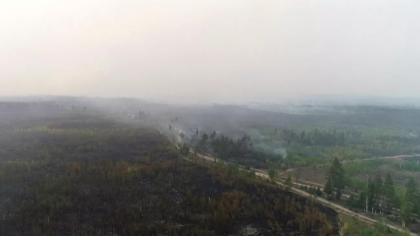 Глава Минприроды Козлов: 60% пожаров в Рязанской области произошли по вине человека