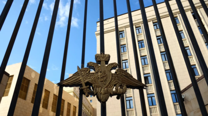Минобороны России: в США разработали дрон для распространения заражённых насекомых