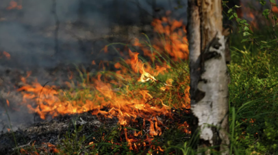Красноярские специалисты помогут Туве в тушении лесных пожаров