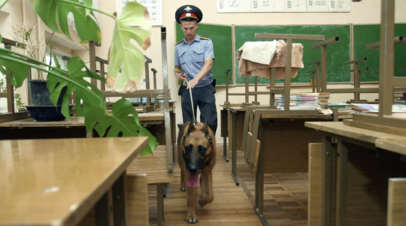 В Кировской области направят 23,5 млн рублей на повышение безопасности в школах