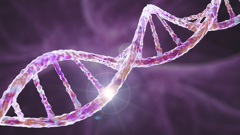 Починка антисмысловой нити: учёные открыли механизм восстановления повреждений цепочки ДНК