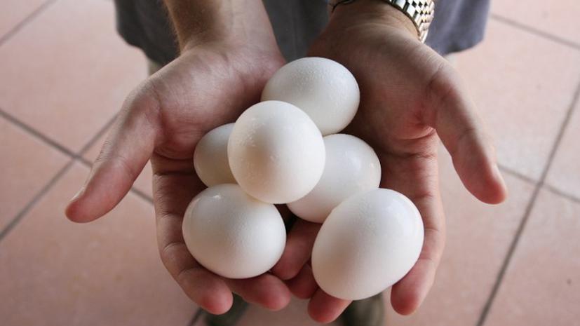 Житель Туниса скончался, съев на спор 28 сырых яиц