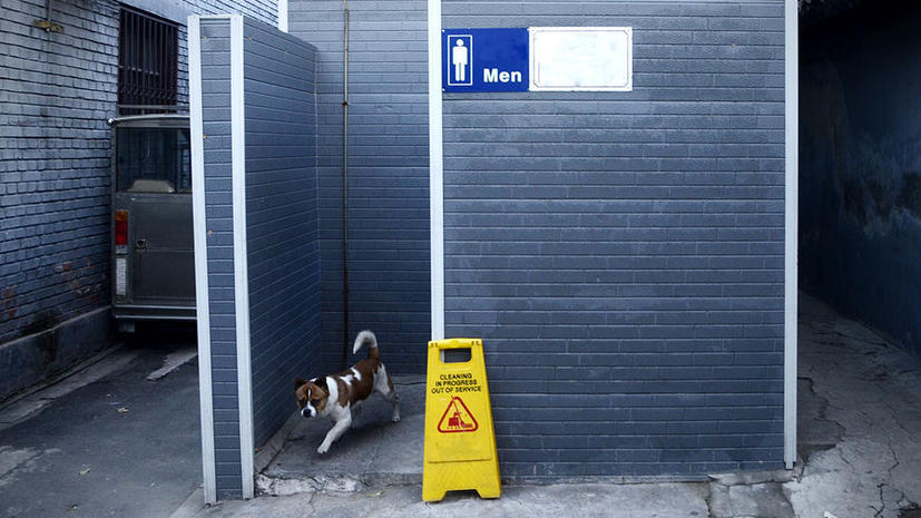 Общественные туалеты для собак появятся на улицах китайских городов