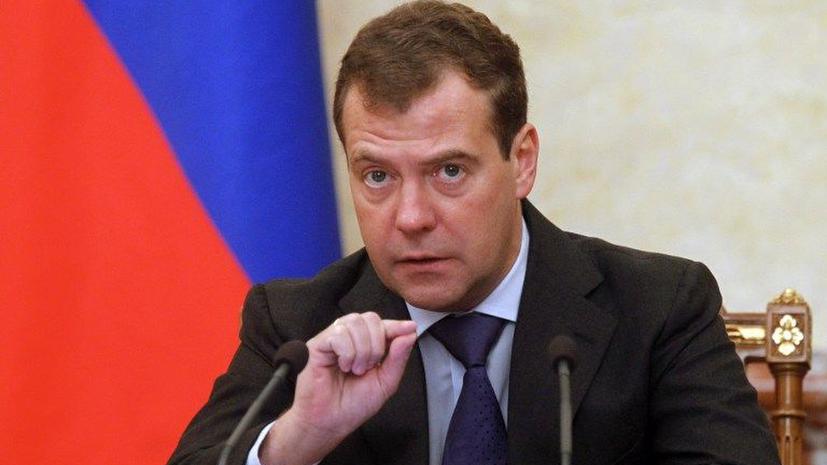 Дмитрий Медведев намерен сформировать совещательный орган, который защитит права детей-сирот