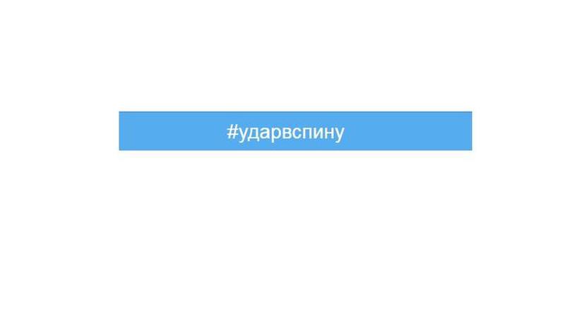 #Ударвспину: пользователи соцсетей обсуждают сбитый Турцией Су-24