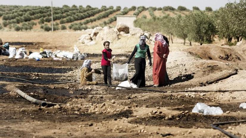 Миллионам сирийцев может понадобиться продовольственная помощь