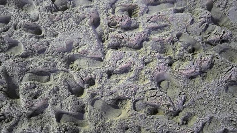 В Северном Норфолке обнаружены человеческие следы возрастом 850 тыс. лет